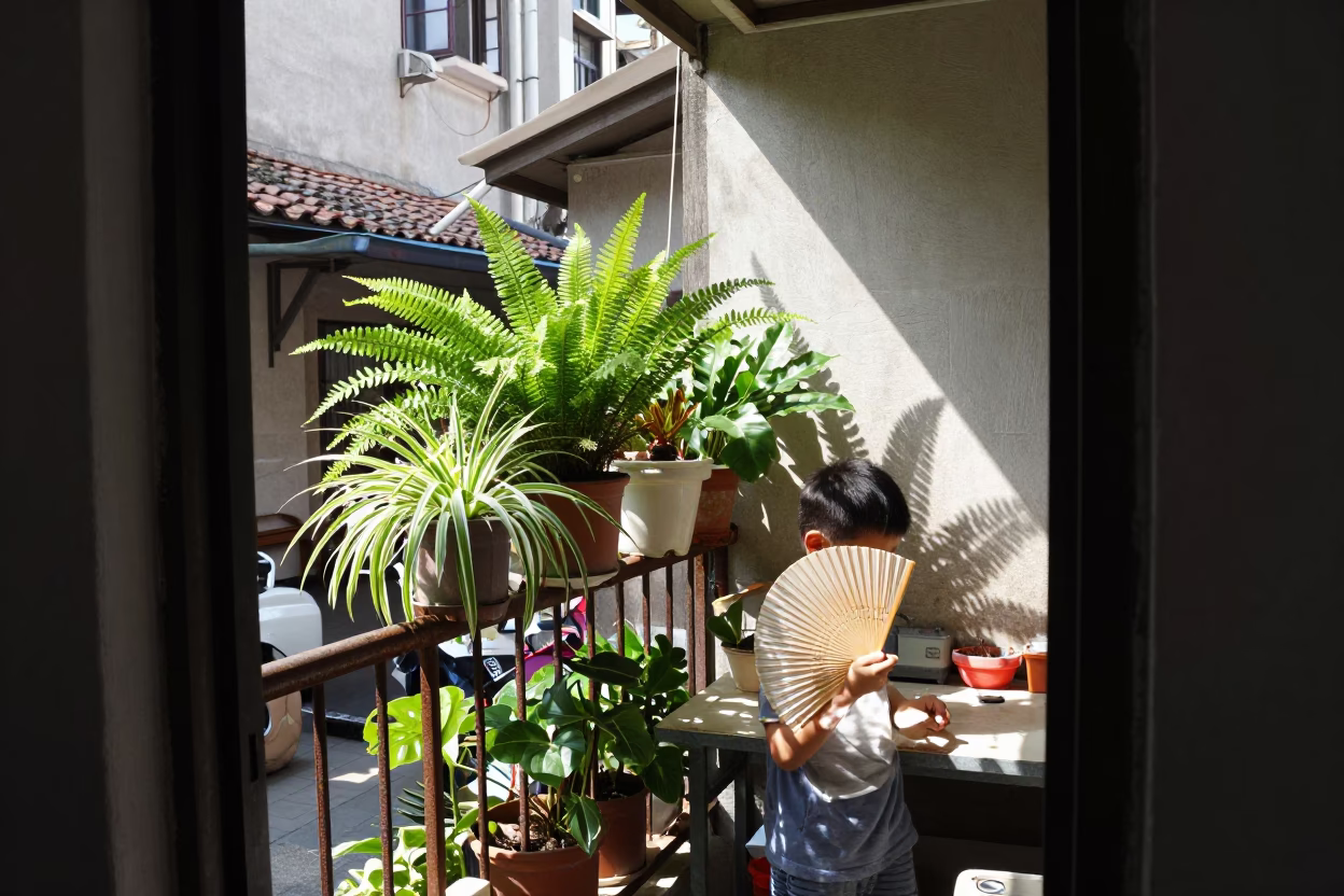 Paper Fan in Shanghai in in Shanghai, China