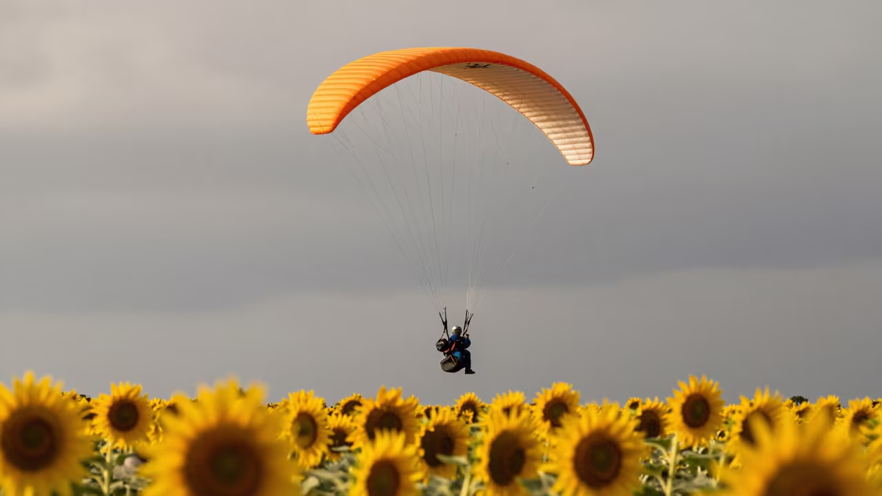 Paramotor Flights Over Cochabamba Sunflower Fields in near Cochabamba