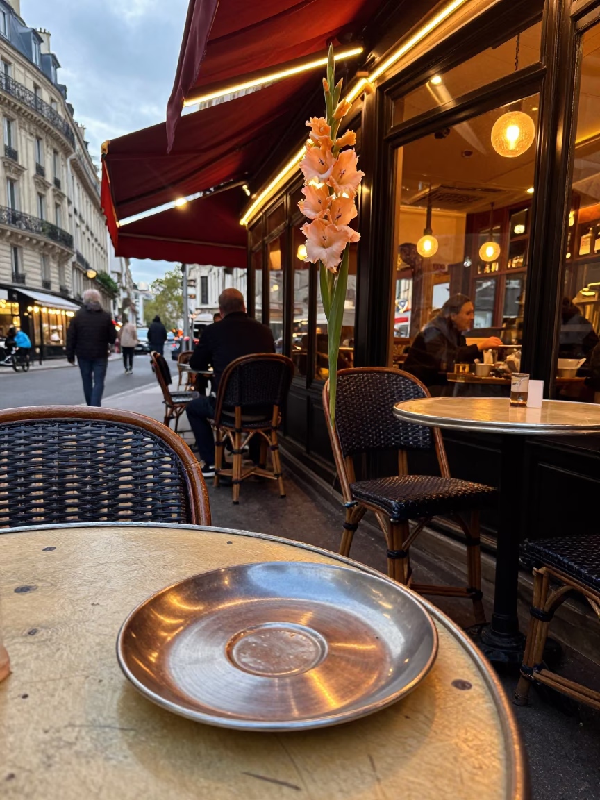 Parisian Cafe Terrace Evening Light with Gladiolus Spike and Brushed Steel Saucer in in Paris, France