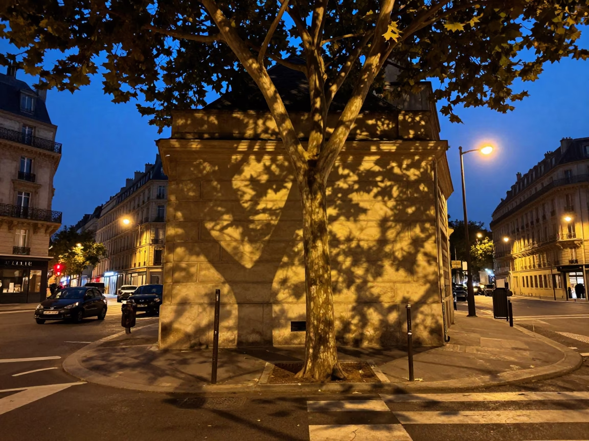 Parisian street corner at dusk with leaf shadows and accordion case near cafe terrace in in Paris, France