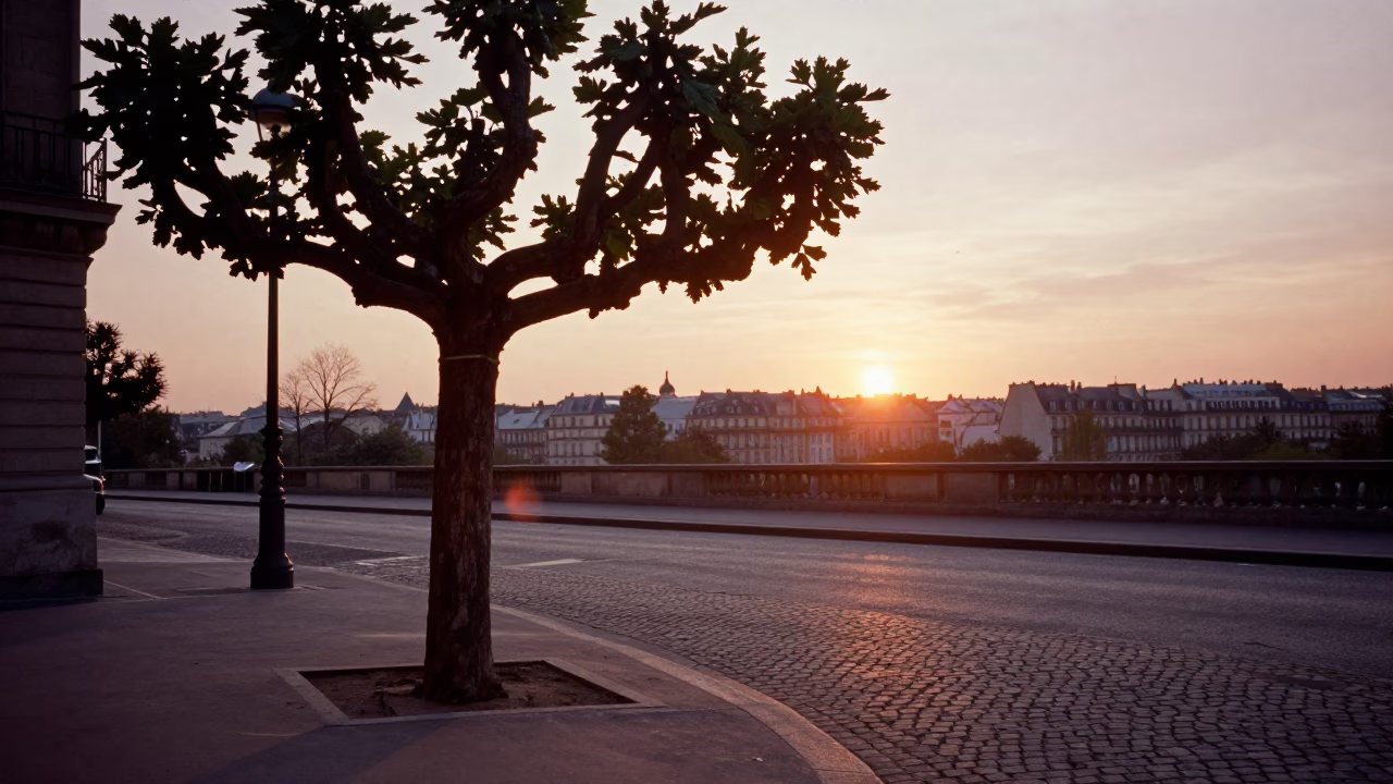 Parisian Street Scene at Dusk with Fig Tree and Coffee Culture in in Paris, France