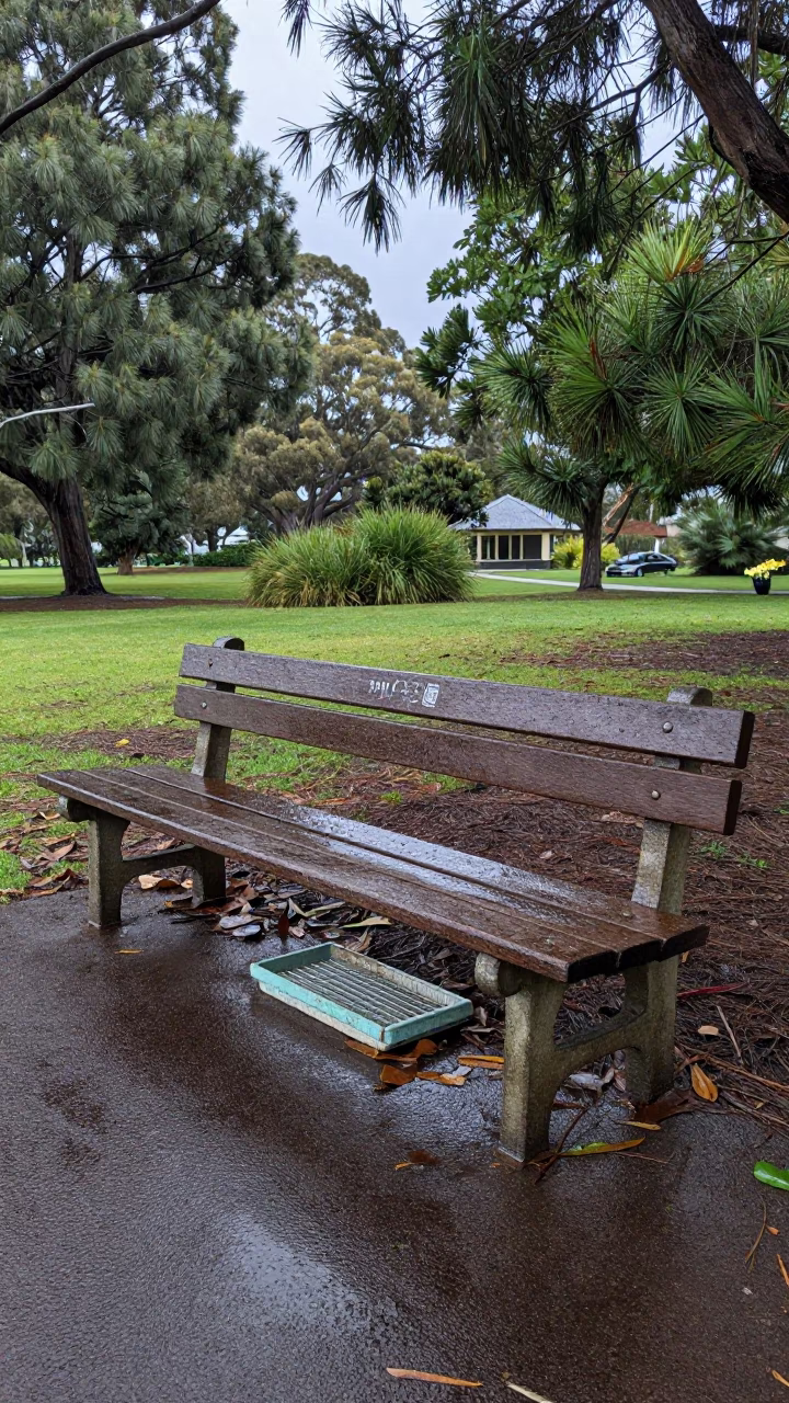 Park Bench And Native Foliage in Perth in in Perth, Western Australia, Australia