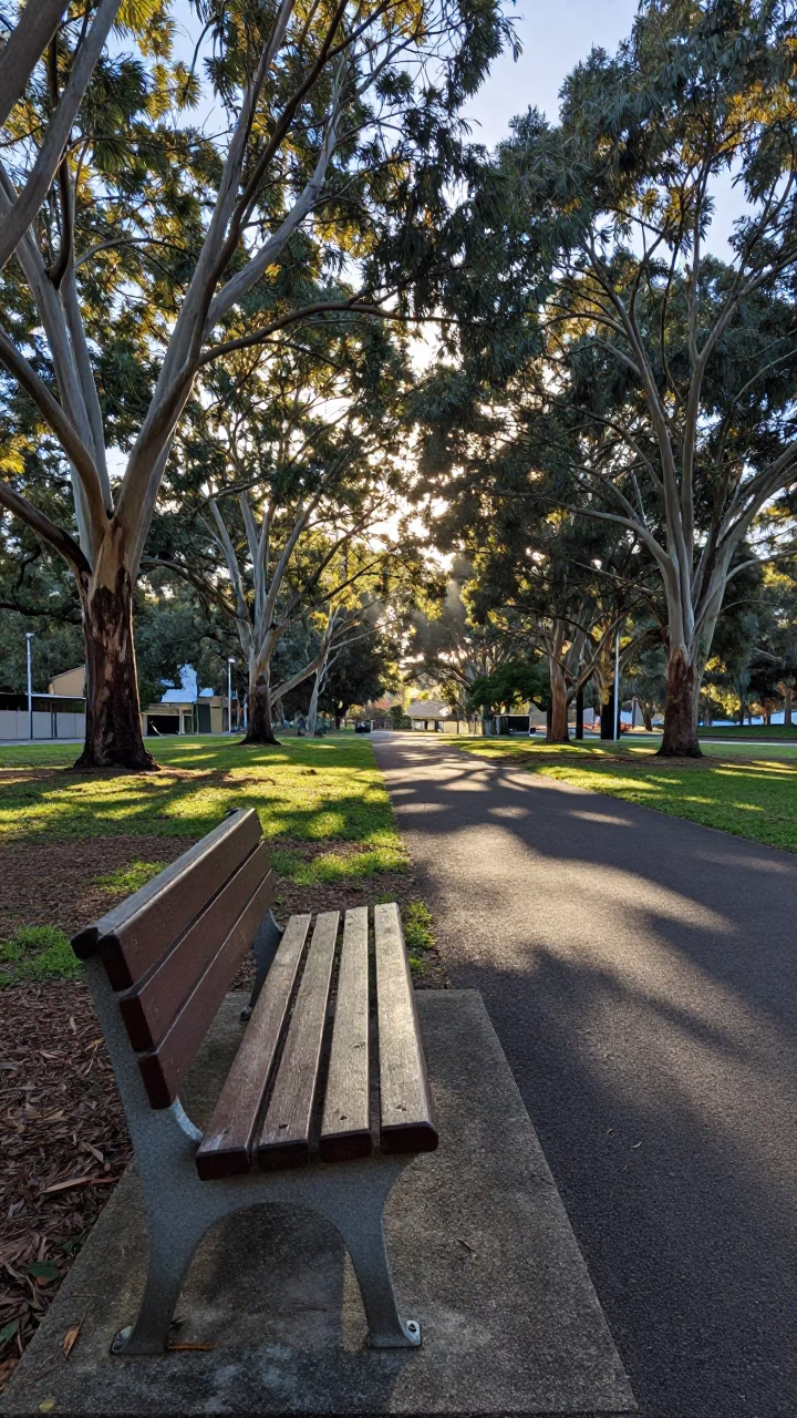 Park Bench at As First Light Reaches The Scene in Adelaide in in Adelaide, South Australia, Australia