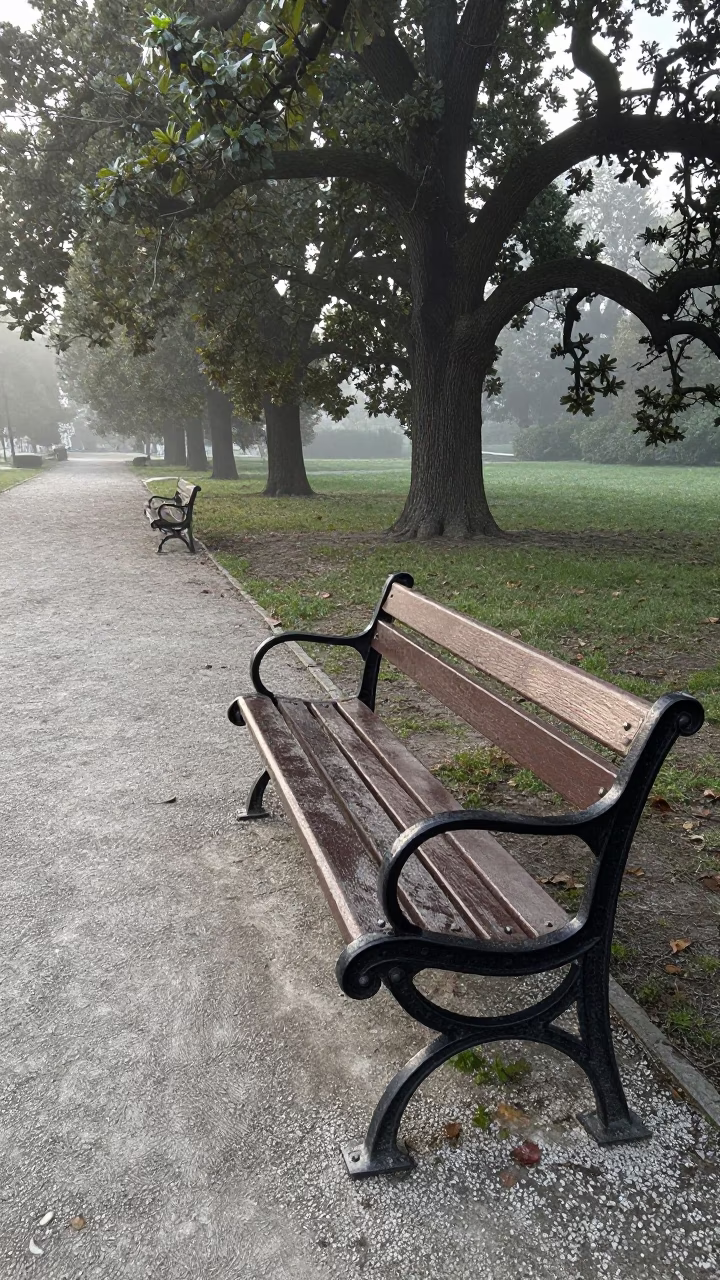Park Bench in Budapest in in Budapest, Hungary
