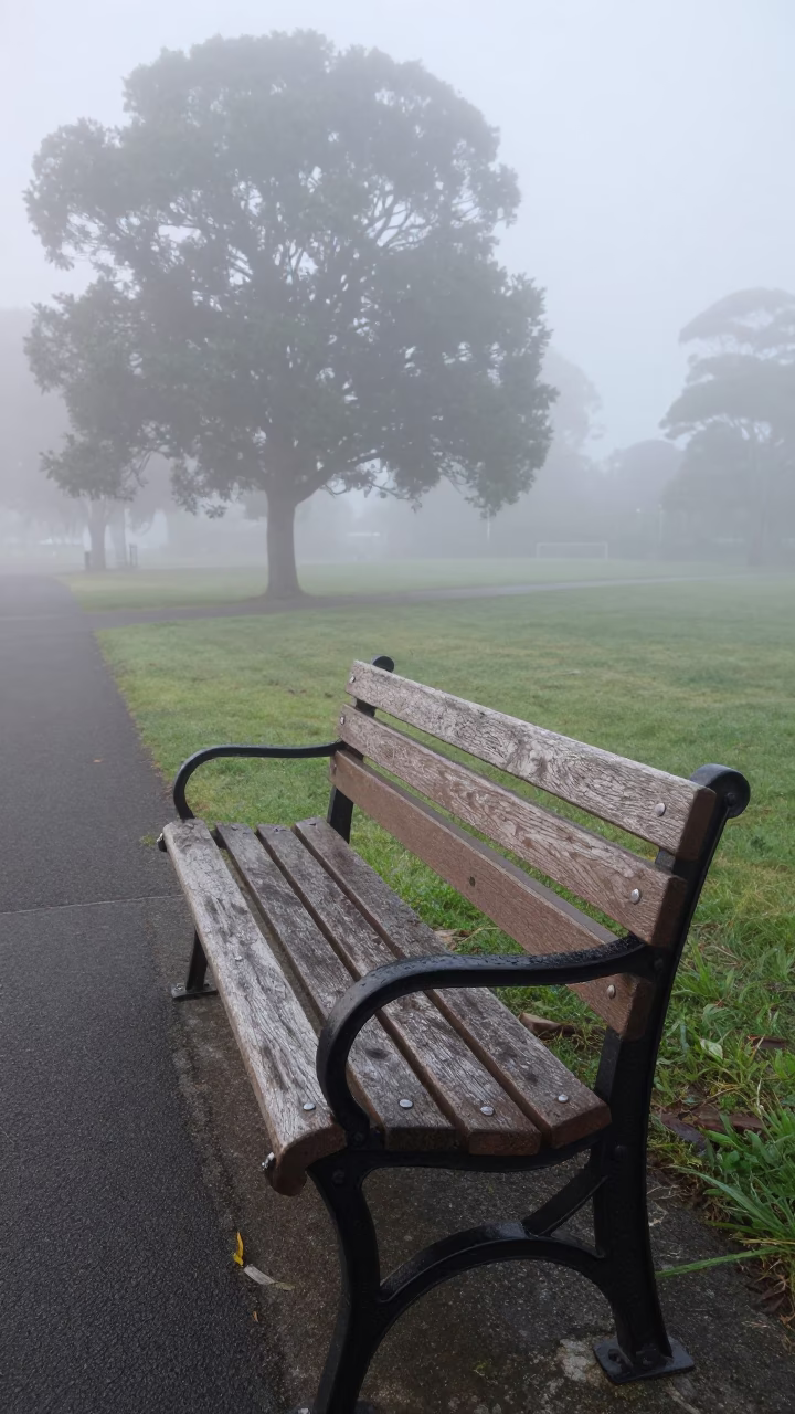 Park Bench in Perth in in Perth, Australia
