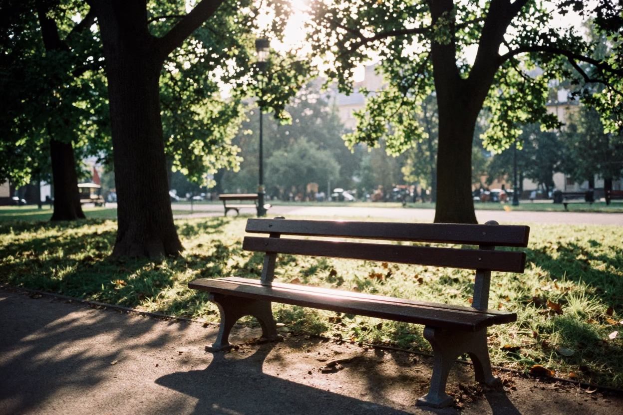 Park Bench in Prague at As First Light Reaches The Scene in in Prague, Czech Republic