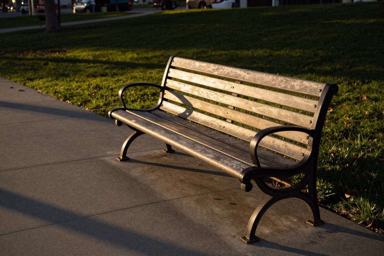 Park Bench in San Diego at Honeyed Evening Light in in San Diego, California, United States