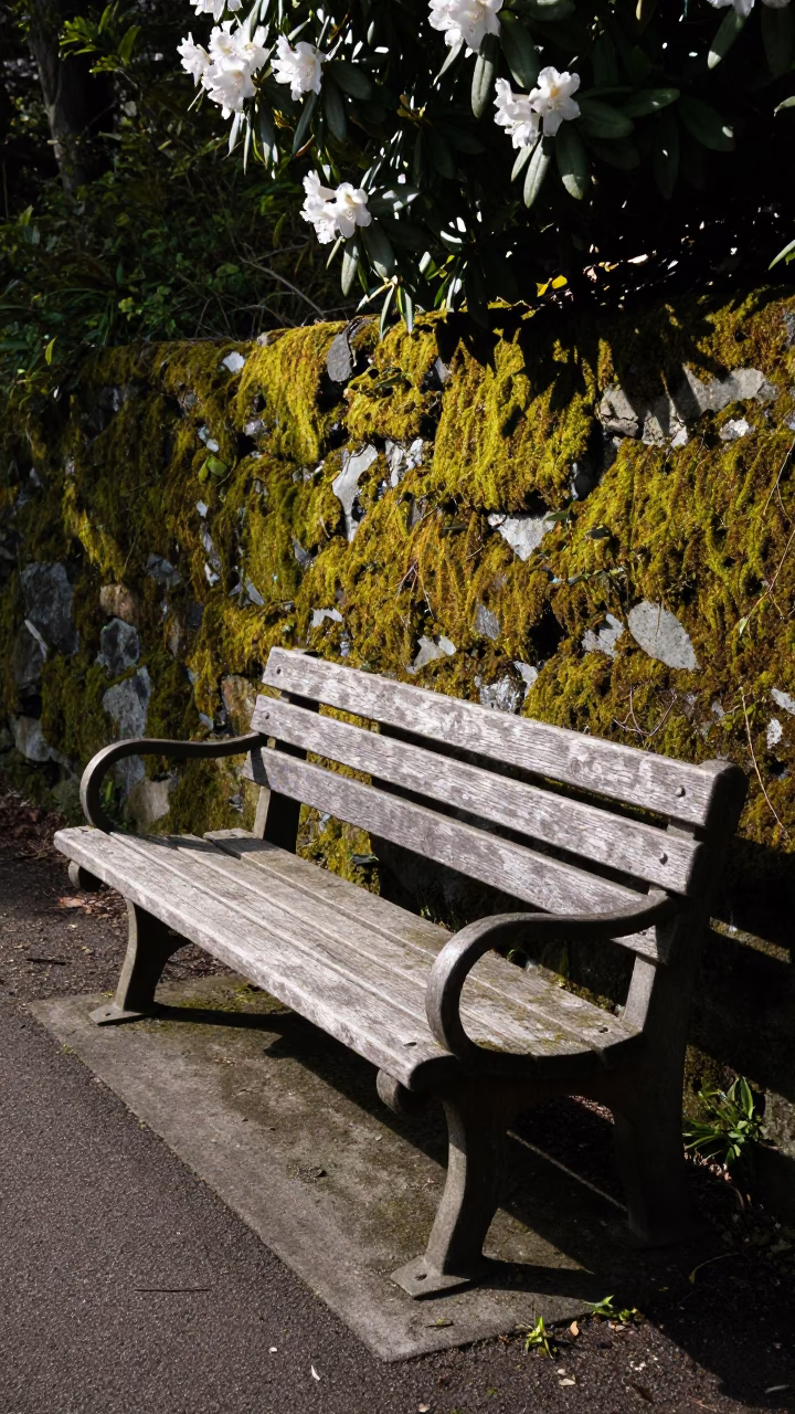 Park Bench in Seattle in in Seattle, United States