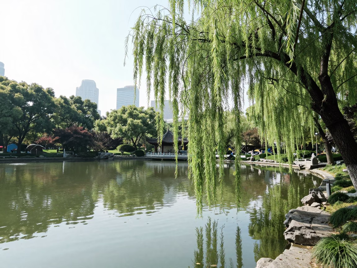 Park Scene in Shanghai at Bright Midmorning Light in in Shanghai, China