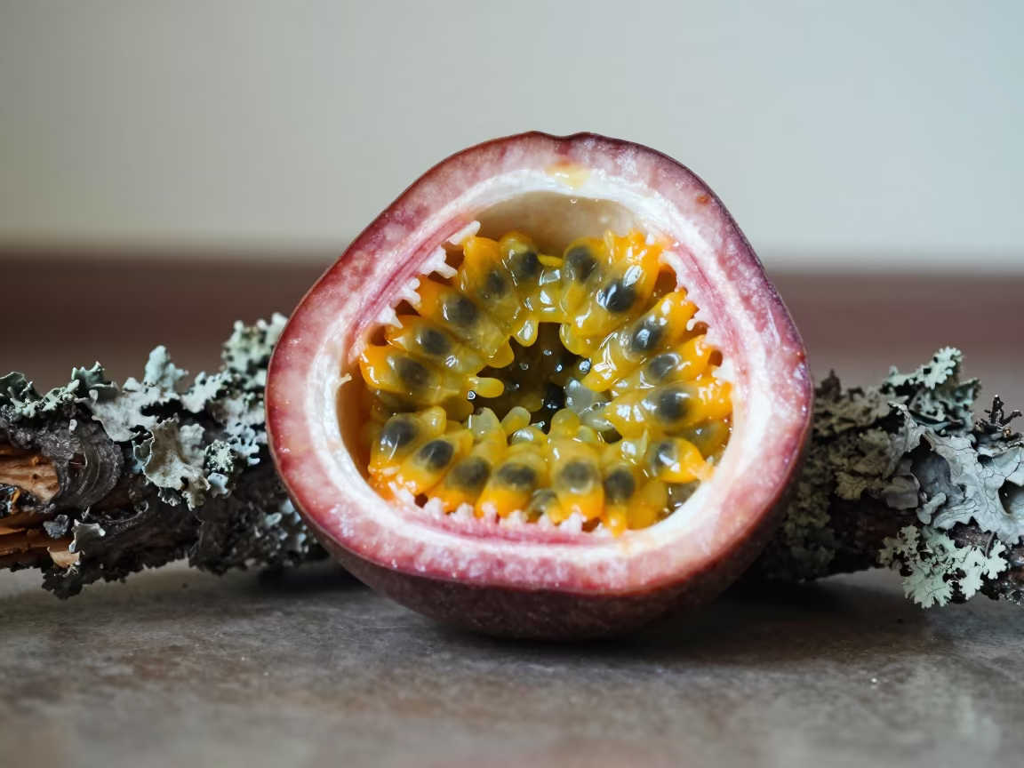 Passion Fruit Cross Section on Lichen Bark in on lichen-covered bark in Jammu