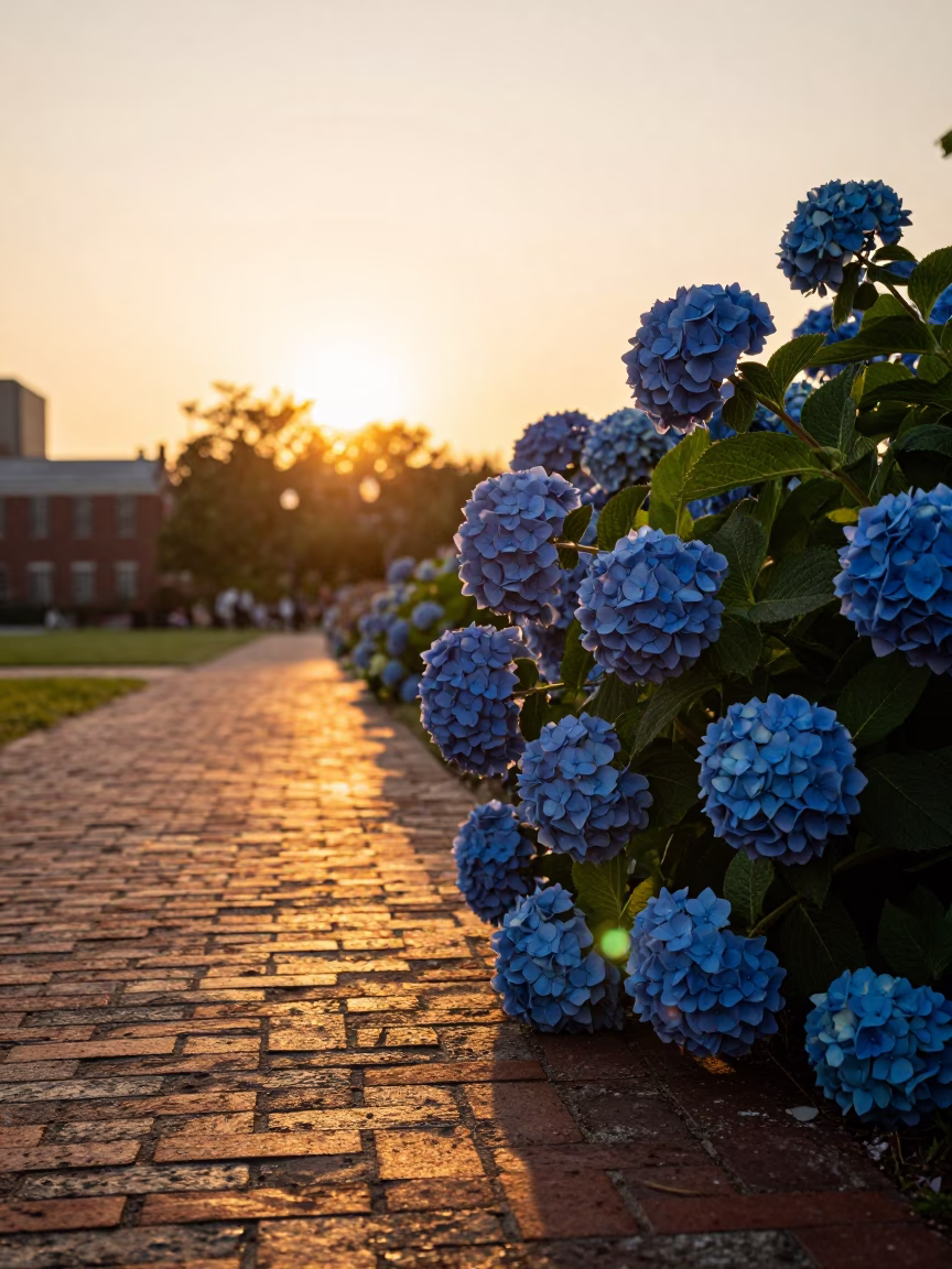 Pathway Sunset in Boston at Golden Hour in in Boston, Massachusetts, United States