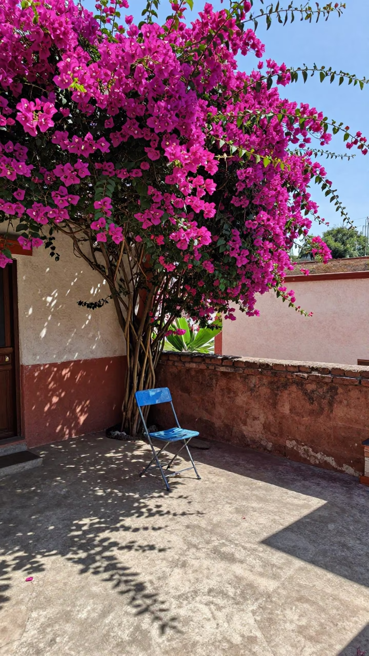 Patio Scene in Guadalajara in in Guadalajara, Mexico