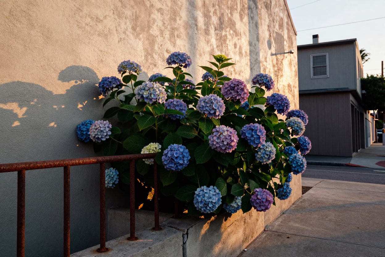 Peg Rail in Los Angeles in in Los Angeles, California, United States