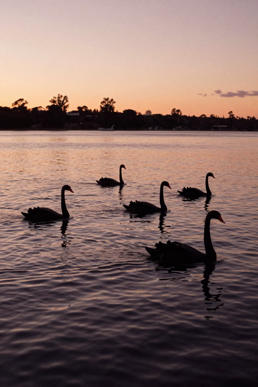 Perth Copper-toned Dusk at Copper-toned Light Before Dusk in in Perth, Western Australia, Australia