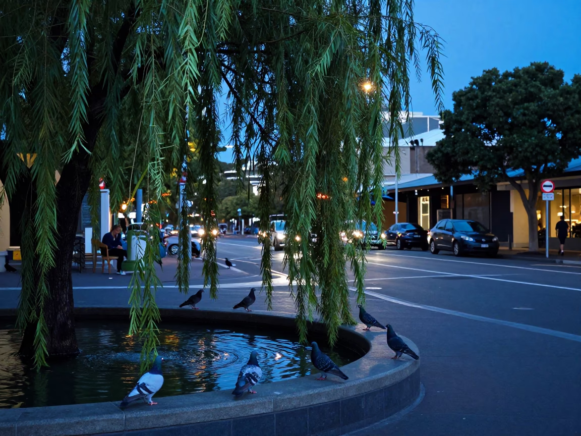Perth Evening Street Scene with Weeping Willow and Pigeons in Last Blue Light in in Perth, Western Australia, Australia