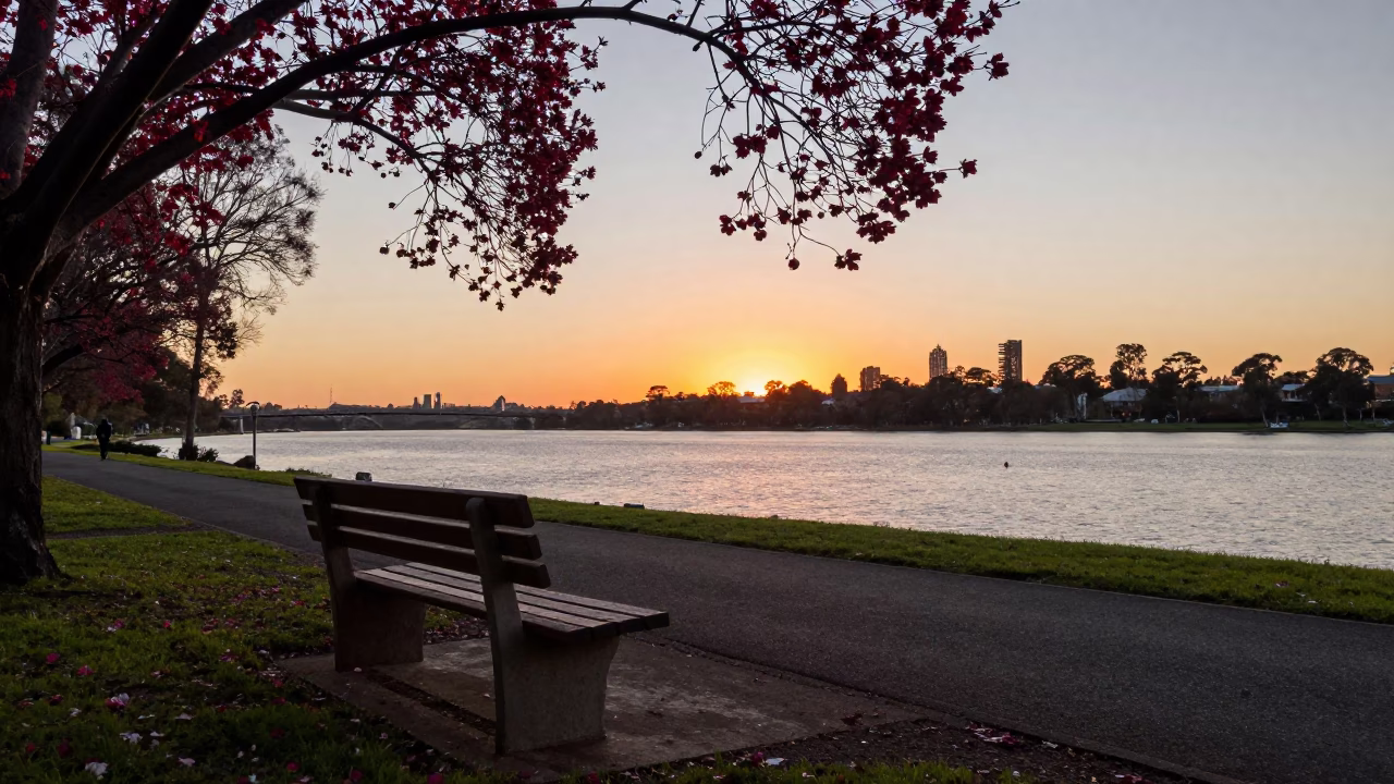 Perth Sunset Over Swan River Park Bench and Cherry Trees in Western Australia in in Perth, Western Australia, Australia