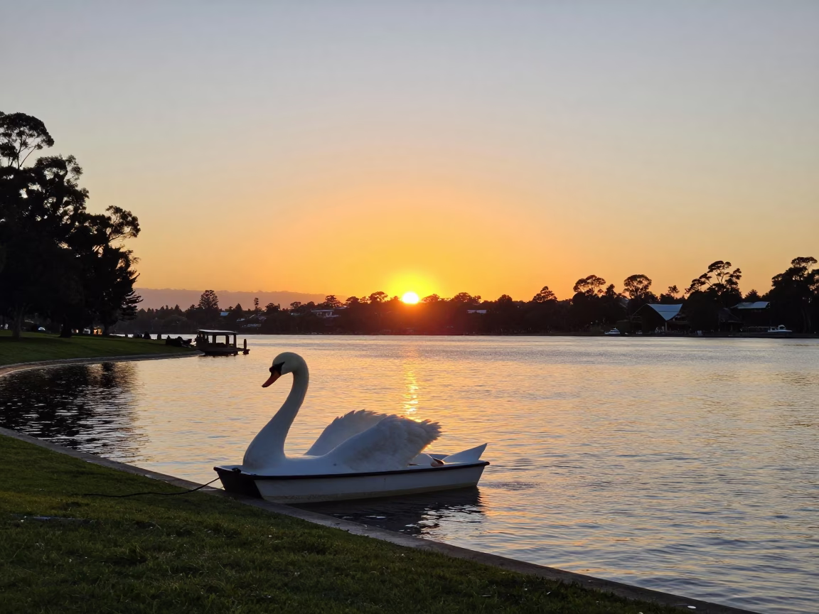 Perth Swan Lake at As The Sun Drops Toward The Horizon in in Perth, Western Australia, Australia