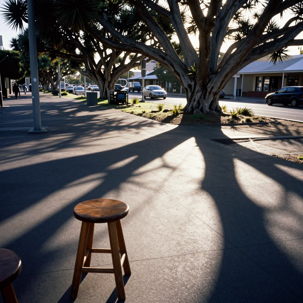 Perth Western Australia street scene with monkey puzzle tree shadows at dawn in in Perth, Western Australia, Australia