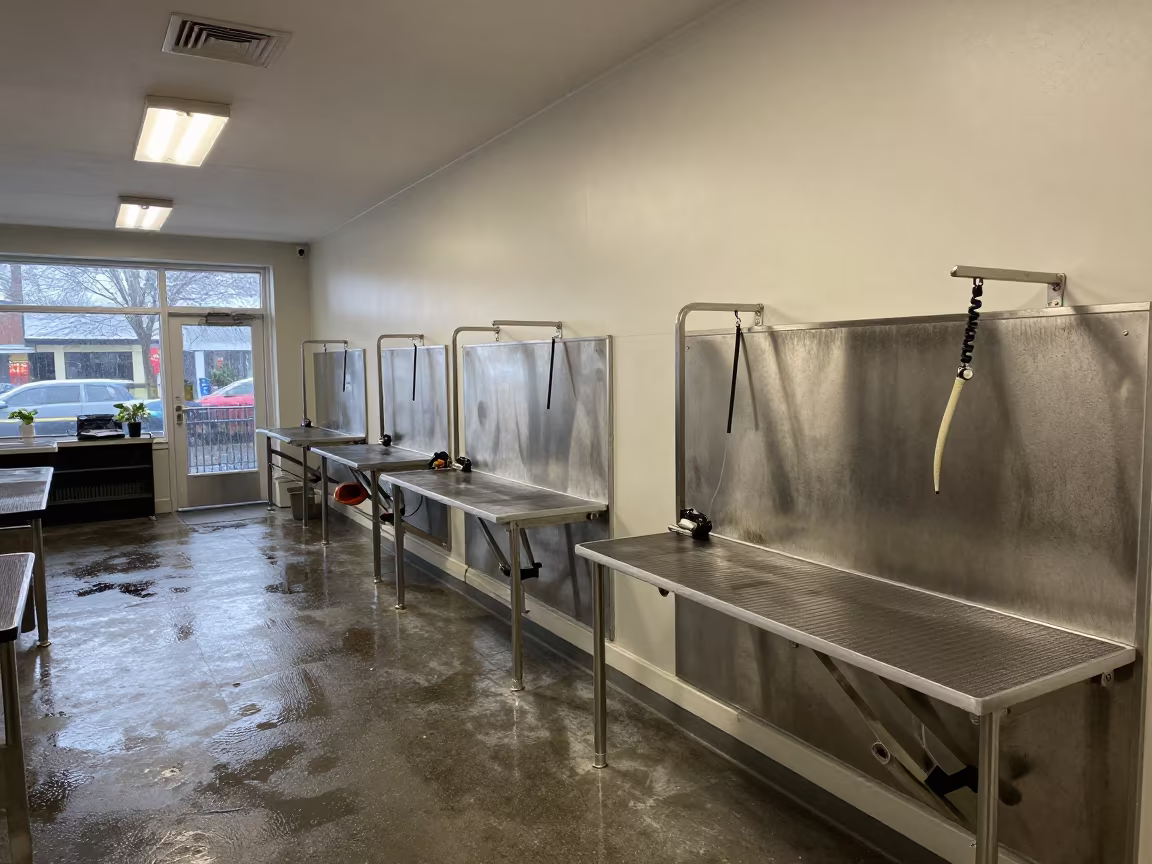 Pet Store Grooming Rail with Afternoon Light in inside a pet store aisle in Kingston