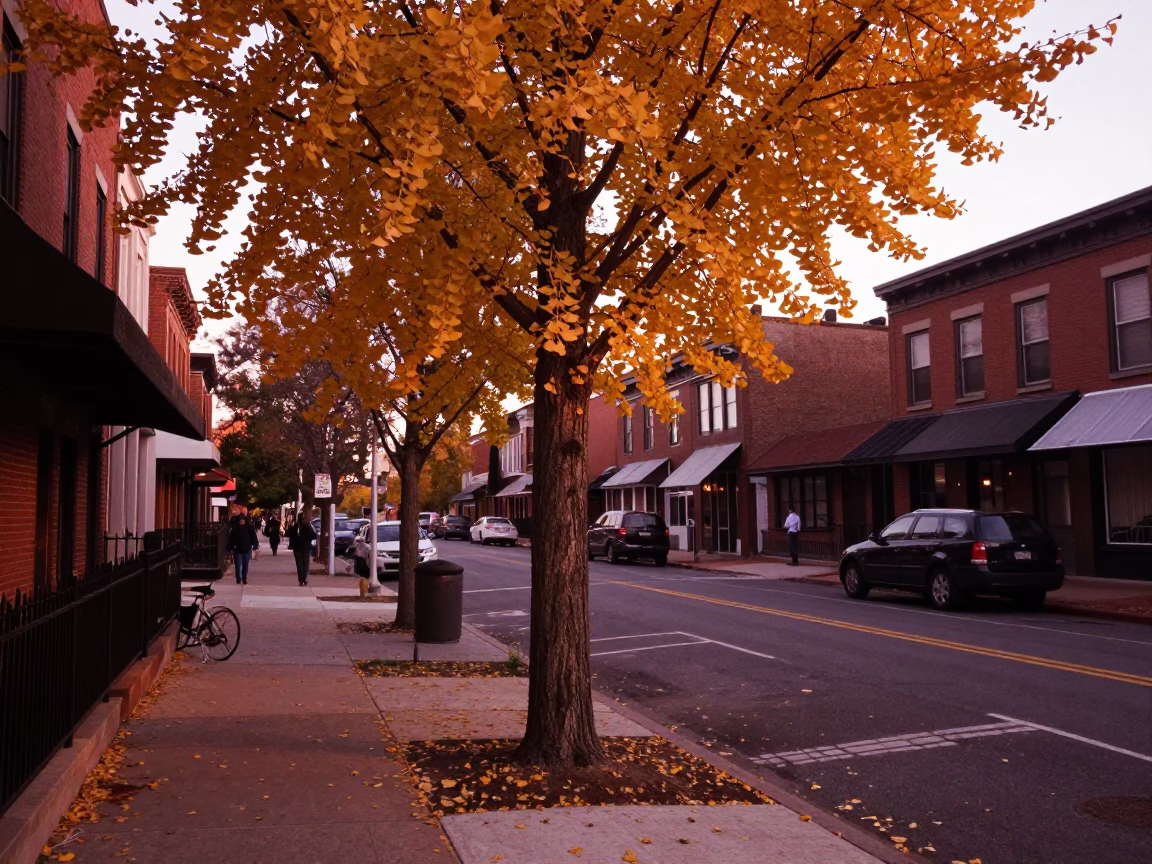 Philadelphia Street Scene with Ginkgo Tree and Urban Details in Copper Light in in Philadelphia, Pennsylvania, United States