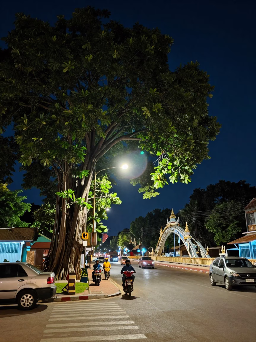 Phnom Penh Cambodia Night Street Scene with Banyan Grove and Bridge Cradle in in Phnom Penh, Cambodia