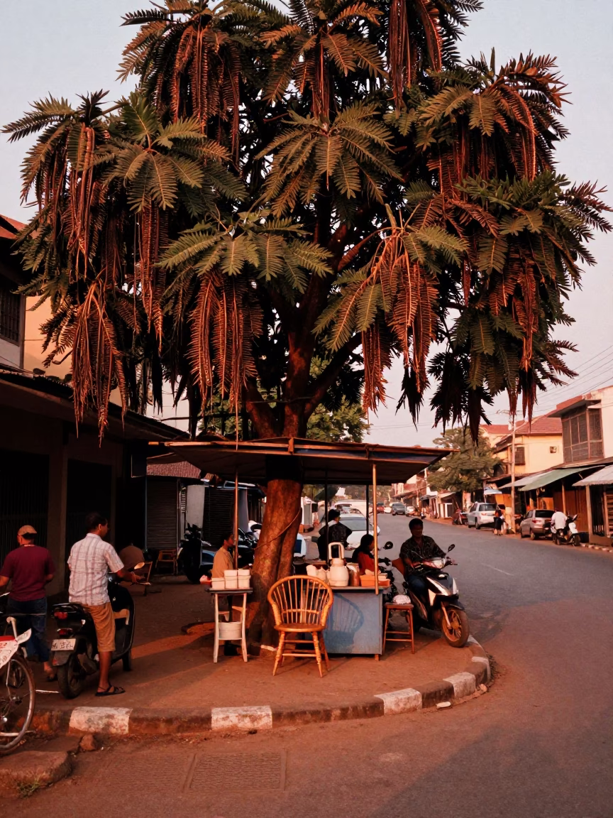Phnom Penh Street Scene with Tamarind Tree and Spindle Chair in Copper Dusk Light in in Phnom Penh, Cambodia