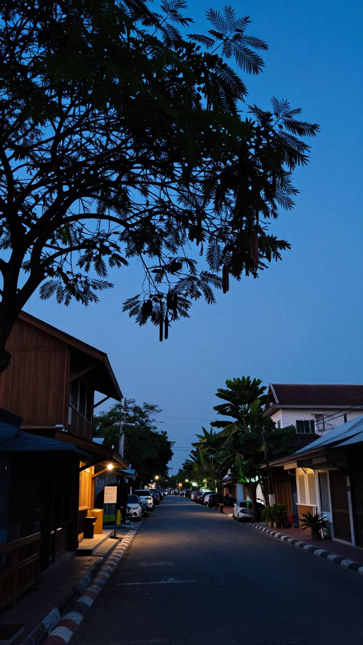 Phuket Thailand Evening Street Scene with Tamarind Tree and Wooden Hanger in in Phuket, Thailand