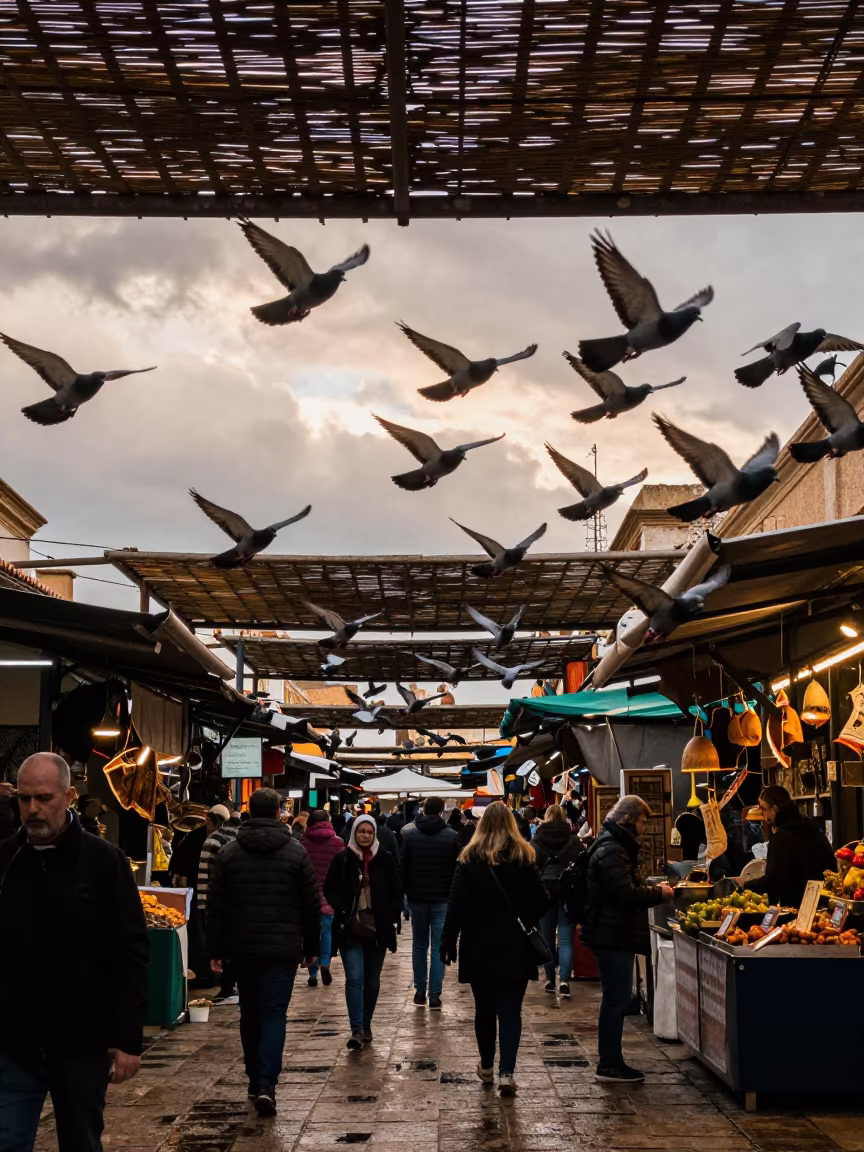 Pigeons Lift Above Market Canopy After Rain in under a market canopy in Elche