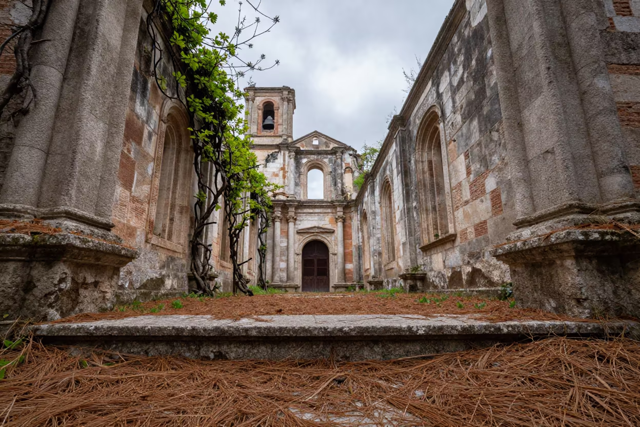 Pine Needle Carpet on Ruin Chapel Threshold in along a vine-choked corridor near Barrio de las Letras, Madrid