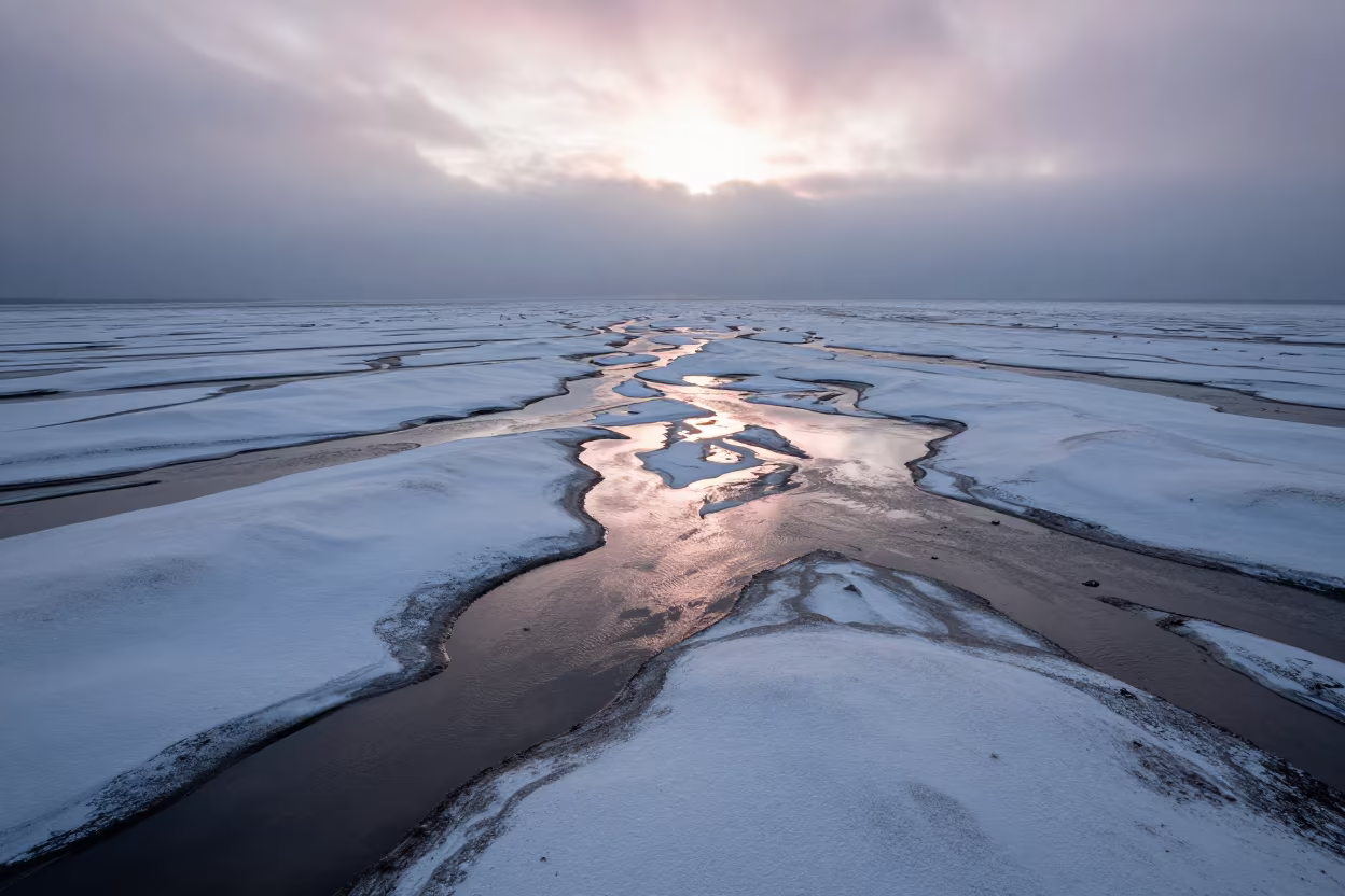 Pink Dawn Snow Fields British Columbia Floodplain in across a floodplain after rain in British Columbia