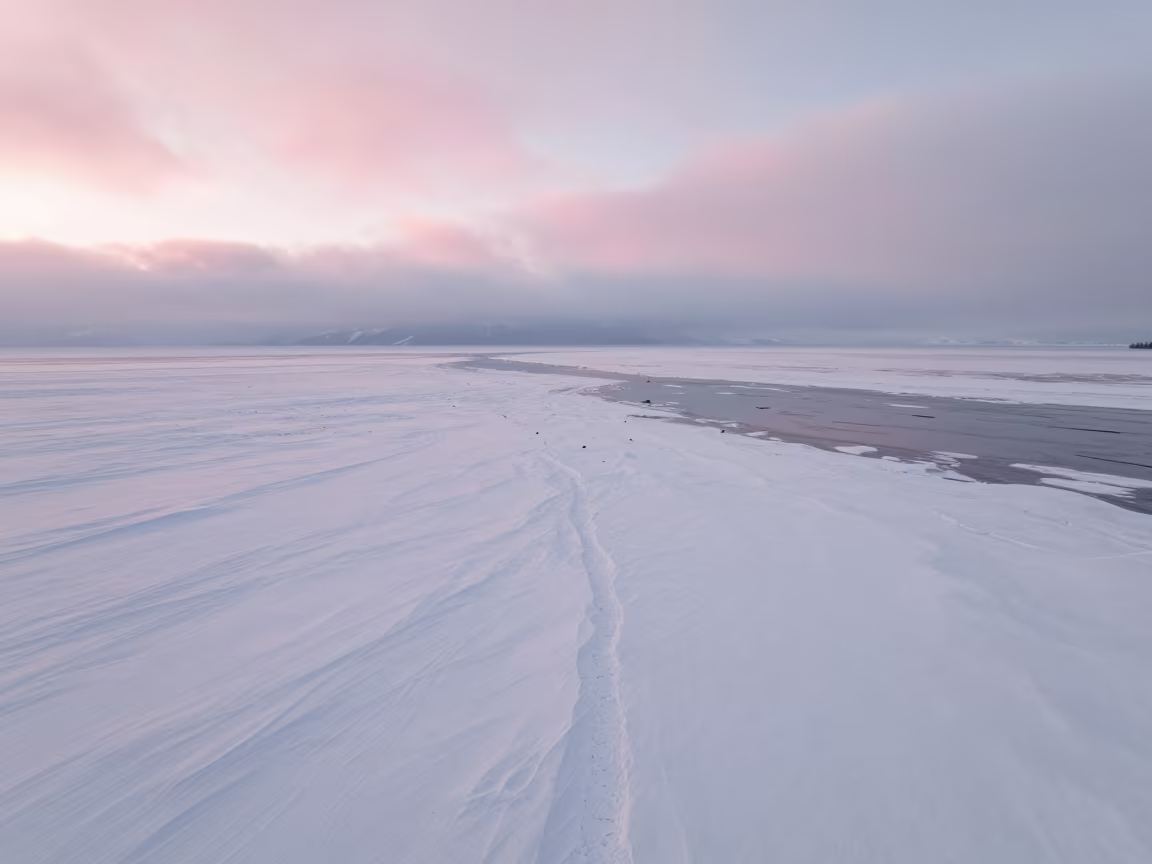 Pink Dawn Light Over Snowy Floodplain in British Columbia in across a floodplain after rain in British Columbia