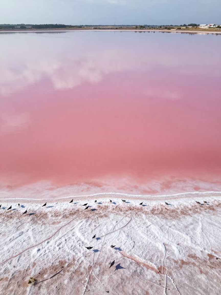 Pink Salt Lake Valencia Floodplain After Rain in across a floodplain after rain in Valencia
