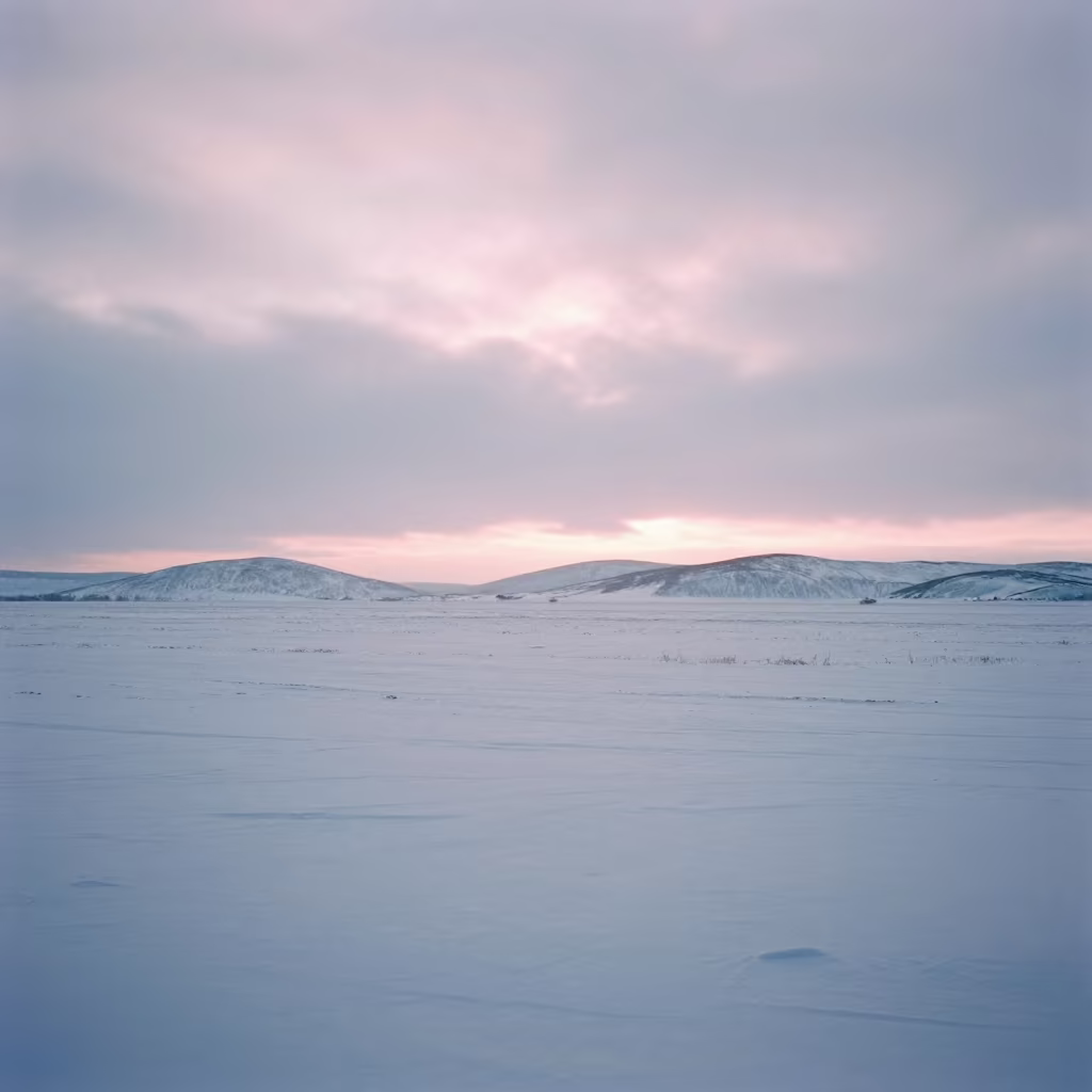 Pink Snow Fields Under Russian Dawn Light in across a wide valley floor in Russia