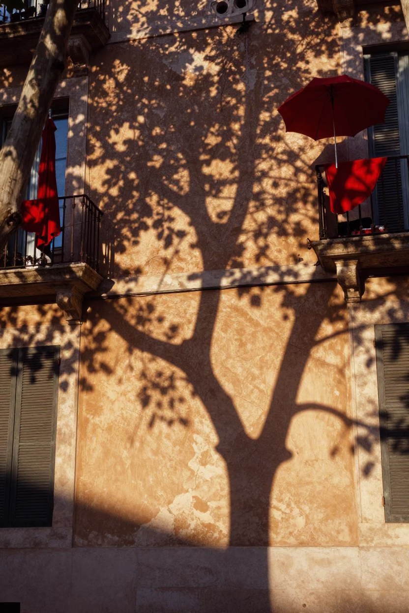 Plaster Wall just after sunrise in Marseille in in Marseille, France