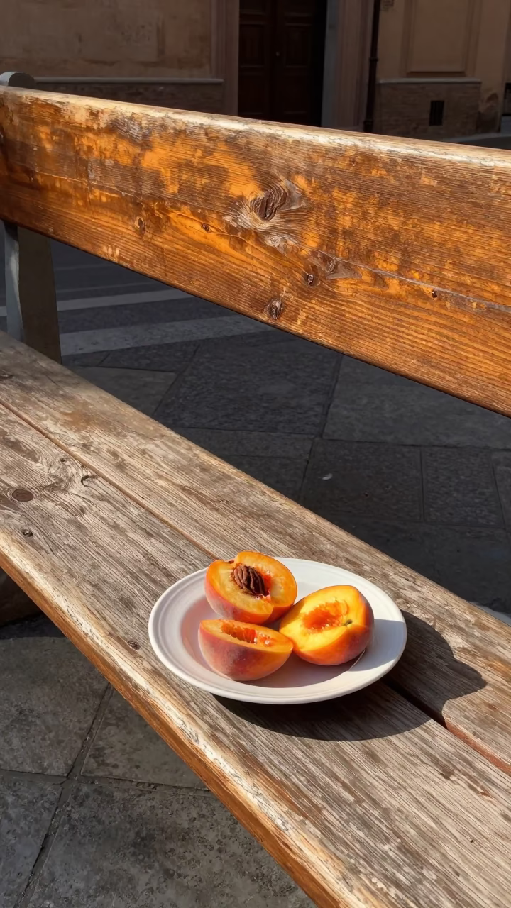 Plate in Bologna at Afternoon Light in in Bologna, Italy
