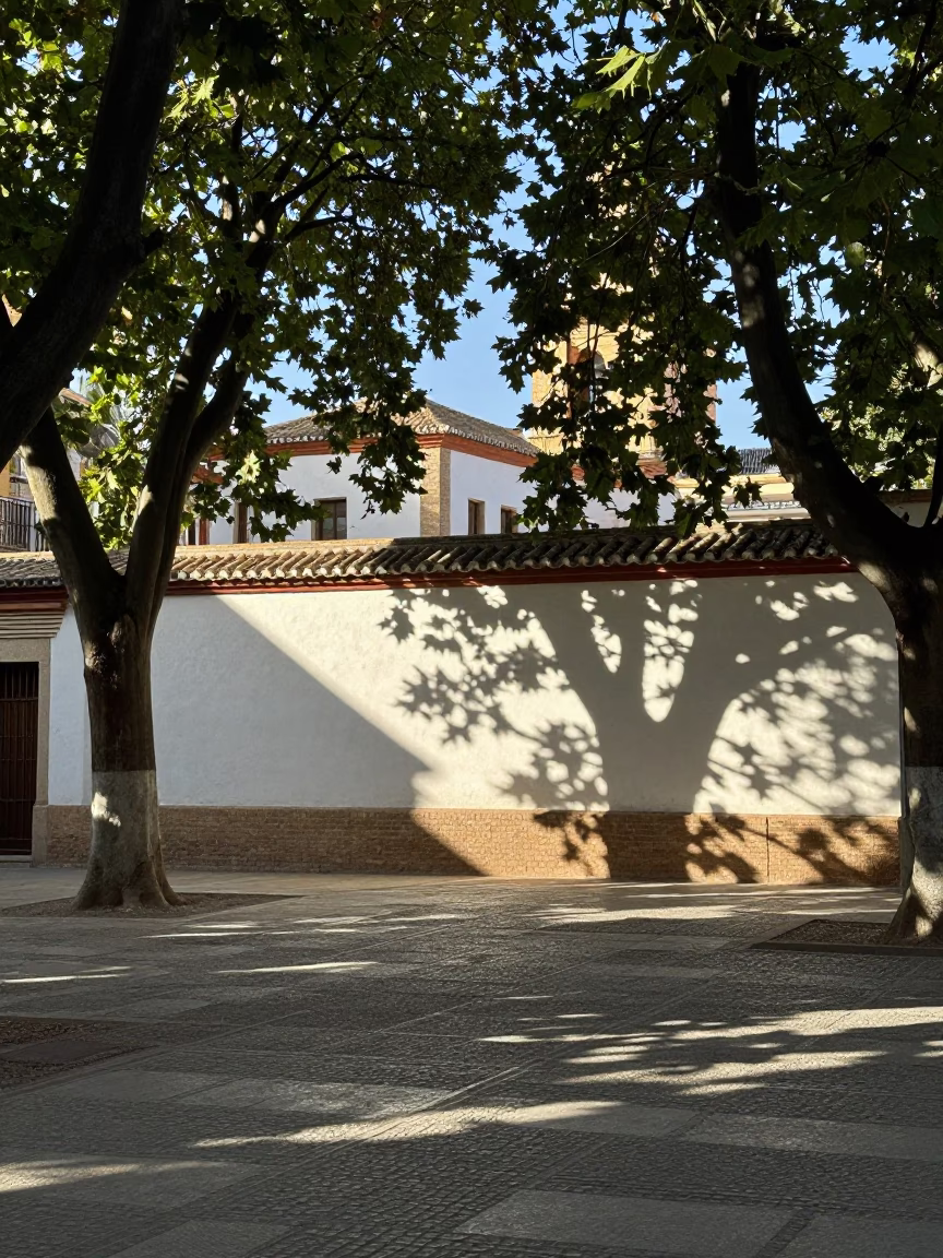 Plaza Scene in Granada at The Early Afternoon Light in in Granada, Spain