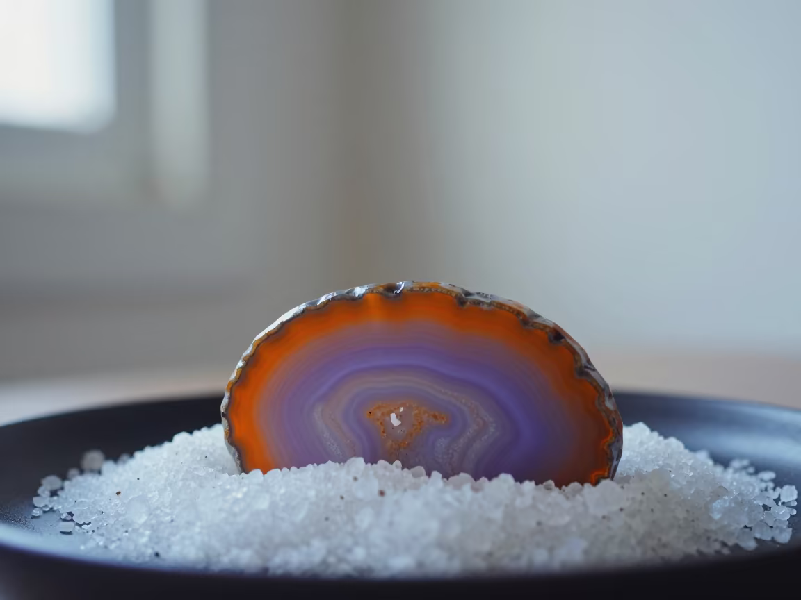 Polished Agate Cross Section on Salt Crystals in on salt crystals along a pan rim in Hanumangarh