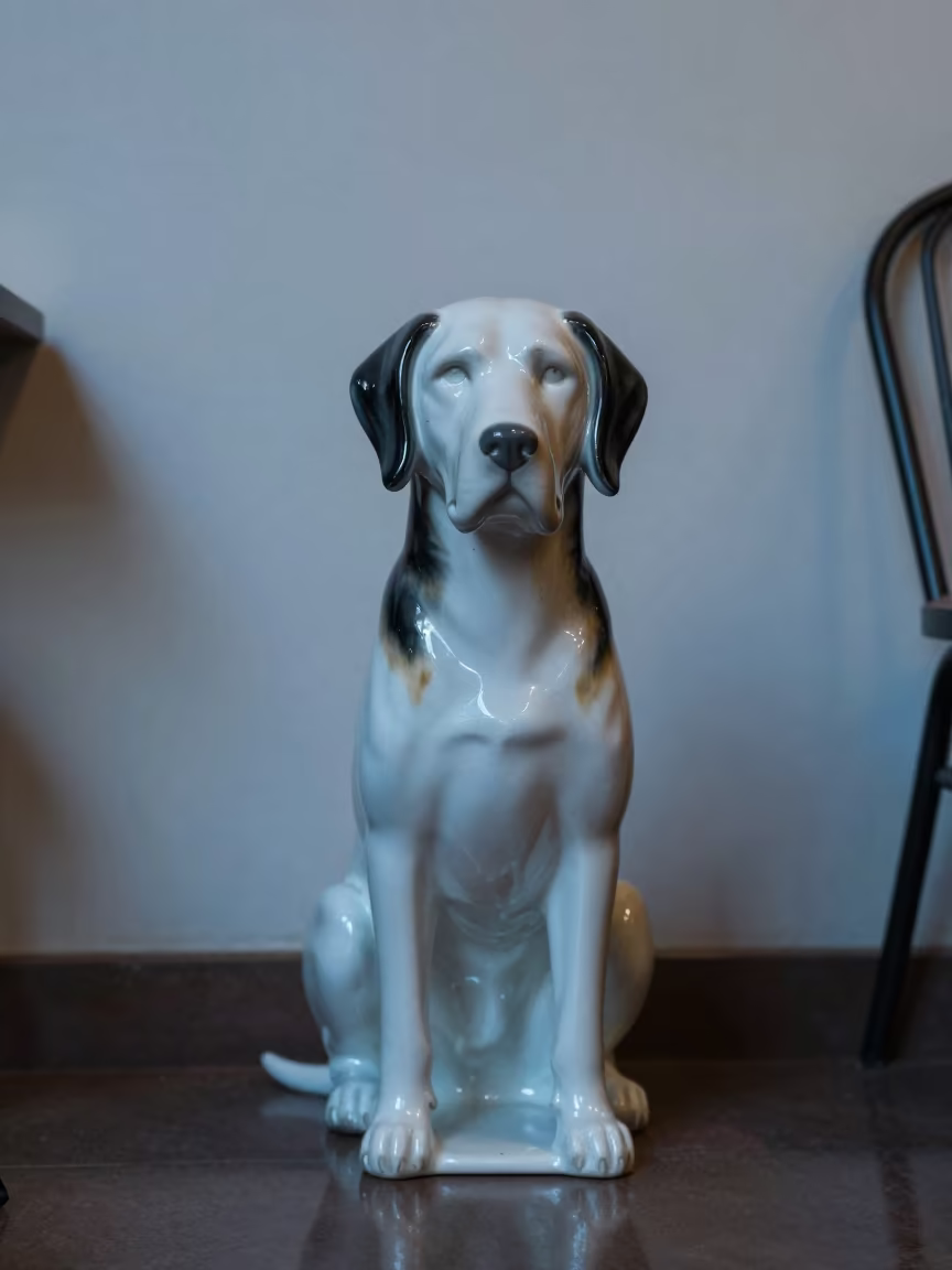 Porcelaine Dog Portrait in Bamako Twilight in beside a plain plaster wall in soft indoor light with the animal centered in frame near Bamako