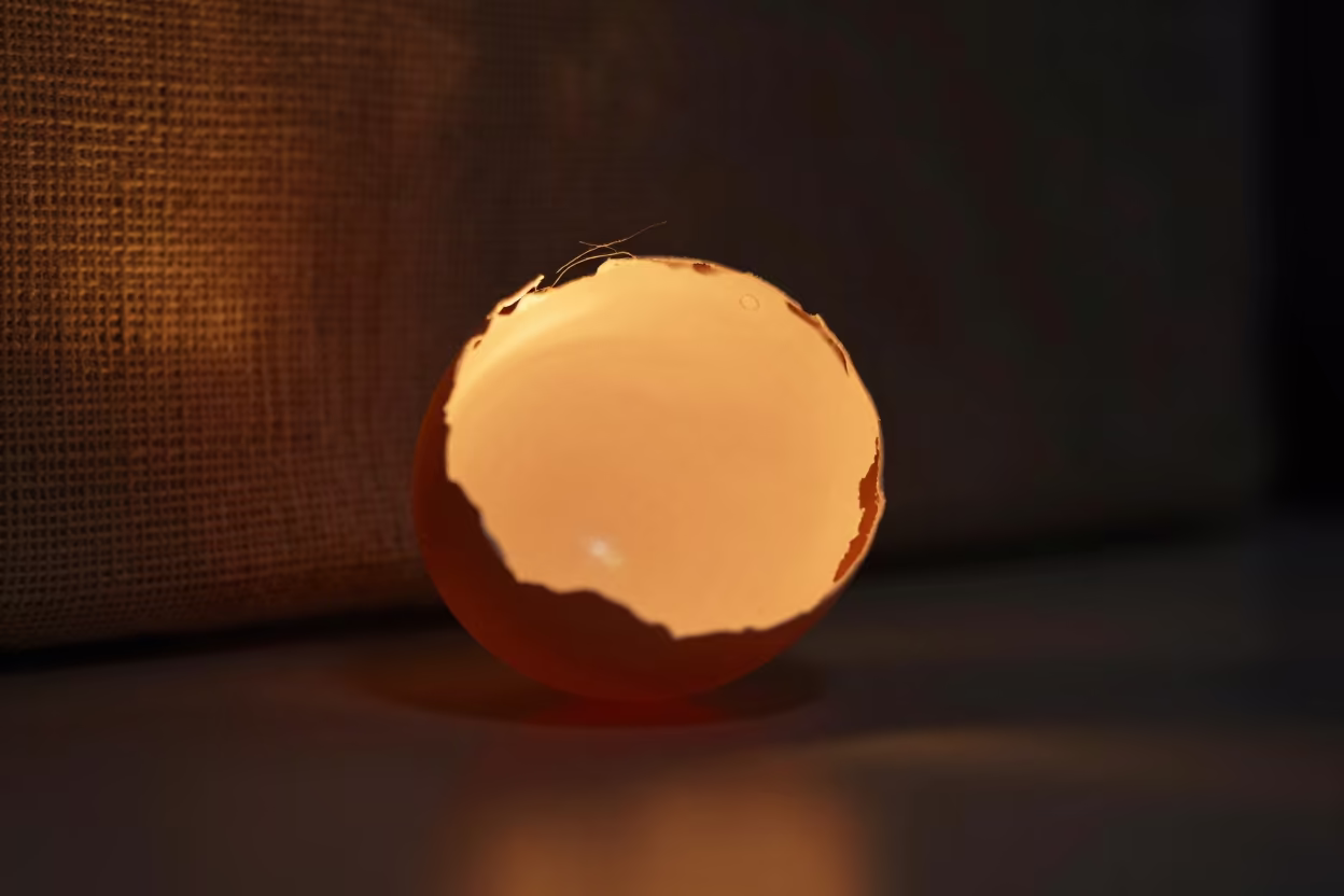 Porous Eggshell Surface in Firelight Near Nanjing in against woven linen fibers near Nanjing