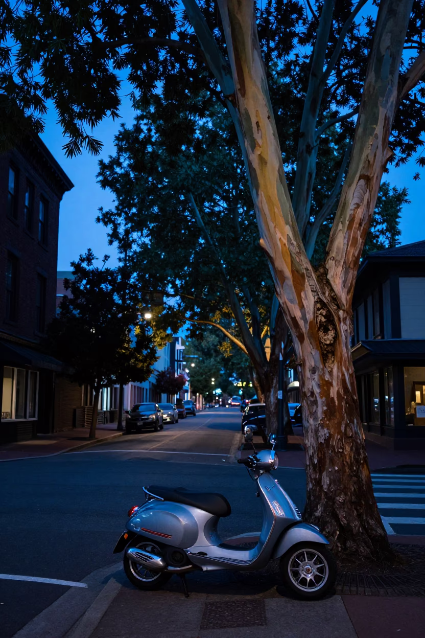 Portland Oregon Evening Blue Light Eucalyptus Grove and Street Scene in in Portland, Oregon, United States