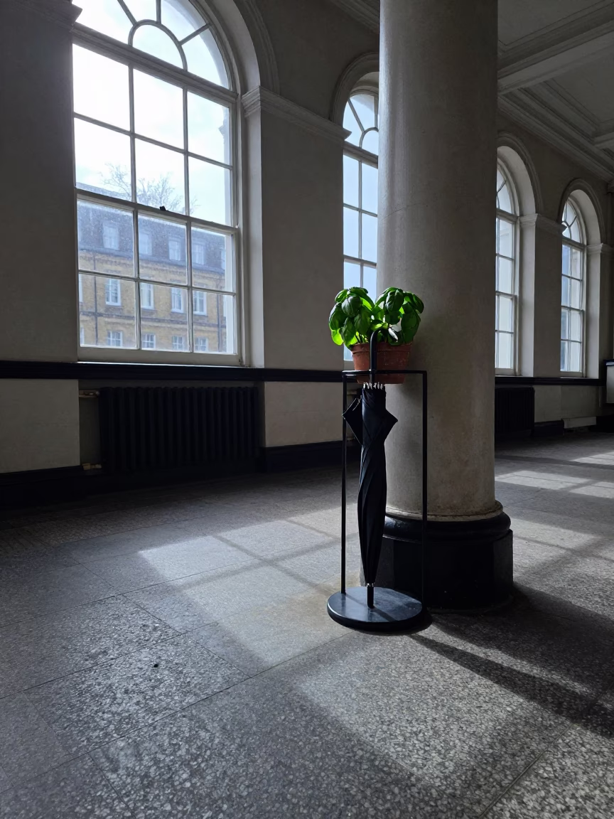 Potted Basil in London in in London, United Kingdom