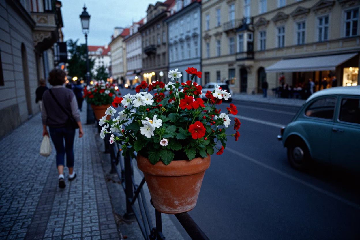 Prague Blue Hour Street Scene with Flowering Plant and Vintage Car in in Prague, Czech Republic