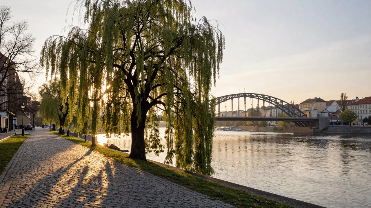 Prague Dawn Street Scene with Weeping Willow and Steel Waterworks in in Prague, Czech Republic