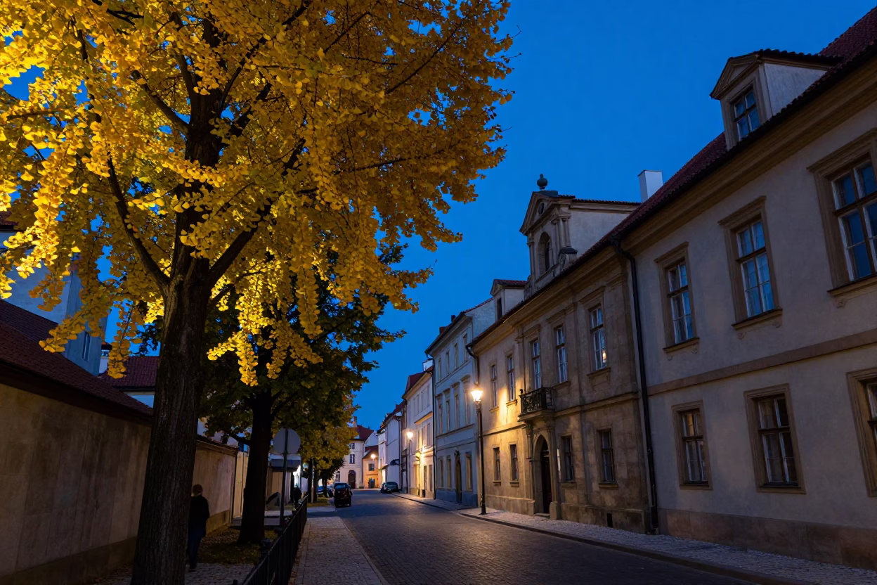 Prague Indigo Twilight Street Scene with Autumn Ginkgo and River View in in Prague, Czech Republic