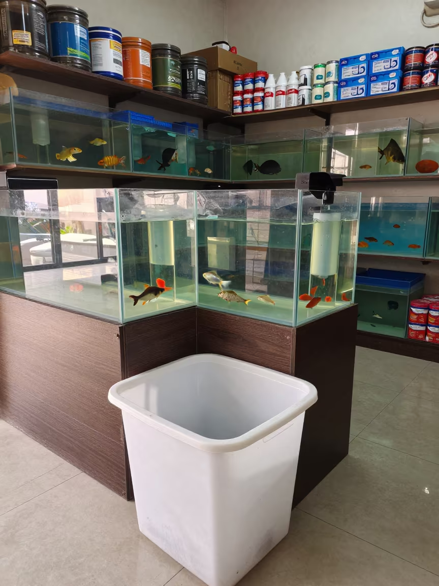 Prayagraj Pet Shop Pickup Bin Late Afternoon in inside a fish bagging counter zone in Prayagraj