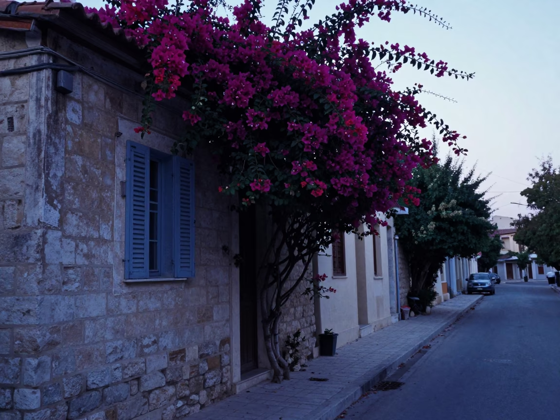Pre-Dawn Athens Street Scene with Bougainvillea and Quiet Urban Architecture in in Athens, Greece