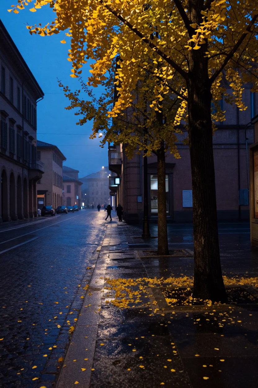 Pre-dawn Bologna street scene with ginkgo leaves on wet pavement near university district in in Bologna, Italy