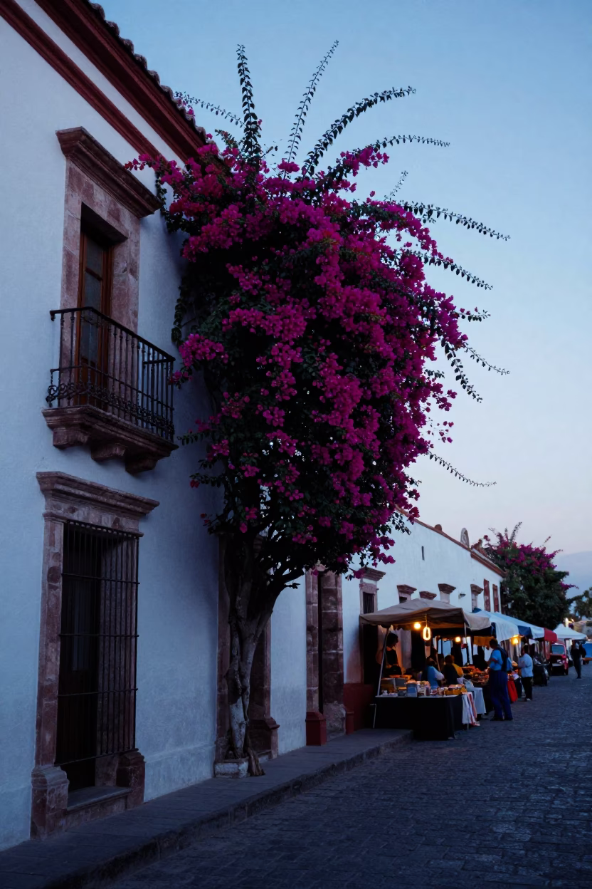 Pre-dawn Colonial Street in Merida Mexico with Bougainvillea and Morning Market Details in in Merida, Mexico