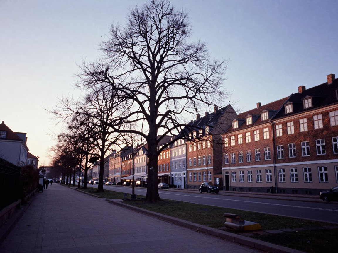 Pre-dawn Copenhagen street scene with copper beech tree and vintage details in in Copenhagen, Denmark