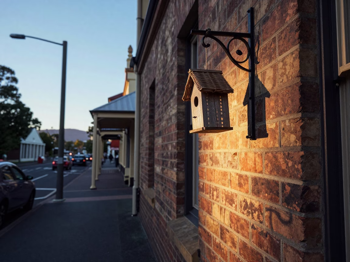 Pre-dawn Hobart street scene with wicker shadow and birdhouse in in Hobart, Tasmania, Australia
